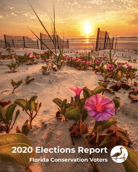 2020_Election_Report_pic