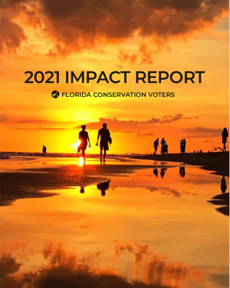 2021 Impact Report_pic