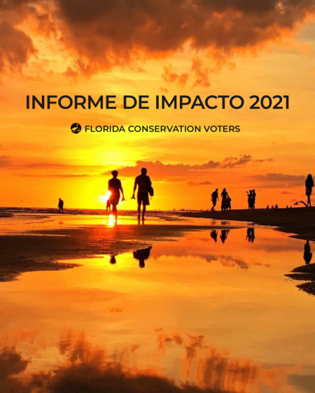 2021 Impact Report ES_pic