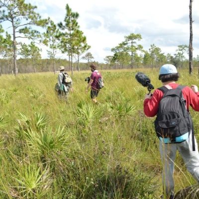Conservation Biologist Ian Biazzo leads the production crew into the deep forests of Central Florida in Tales of Sunshine: Florida EcoStories (2022)